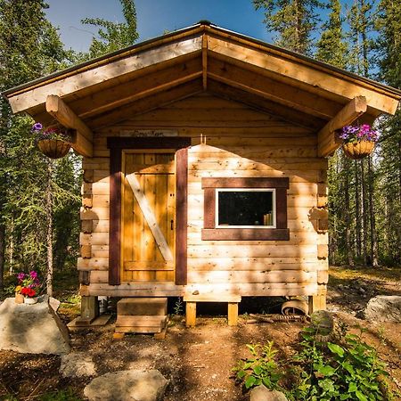 Blackburn Cabins - Mccarthy, Alaska Ngoại thất bức ảnh