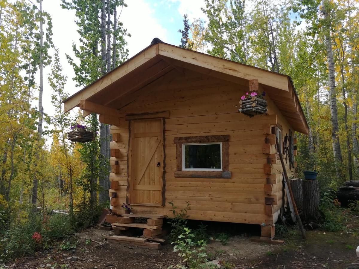 Blackburn Cabins - Mccarthy, Alaska Ngoại thất bức ảnh