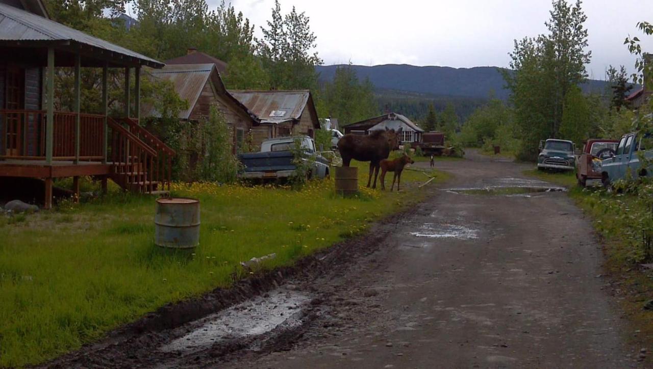 Blackburn Cabins - Mccarthy, Alaska Ngoại thất bức ảnh
