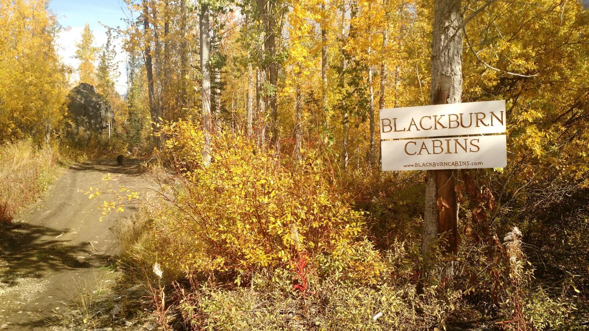 Blackburn Cabins - Mccarthy, Alaska Ngoại thất bức ảnh