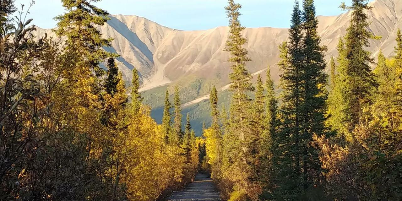 Blackburn Cabins - Mccarthy, Alaska Ngoại thất bức ảnh